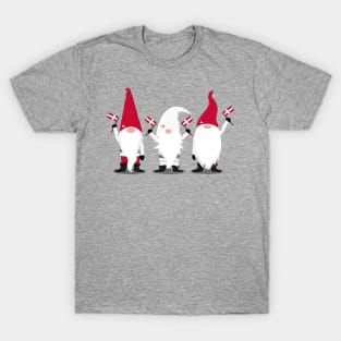 Danish Gnomes T-Shirt